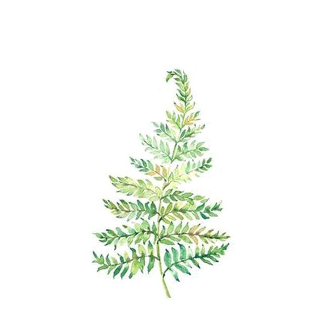 Tropical Minimalist Wall Art Print – DIANA