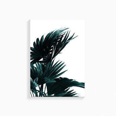 Green Plants Wall Art Print – CIARA
