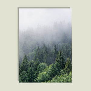 Forest Fog Wall Art Print – FAITH