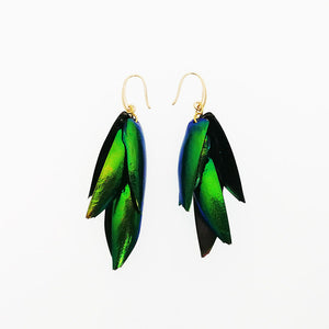 Real Beetle Wings Green Brass Nickel Free Dangle Earrings from Switzerland zella.ch