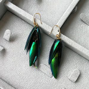 Real Beetle Wings Green Brass Nickel Free Dangle Earrings from Switzerland zella.ch